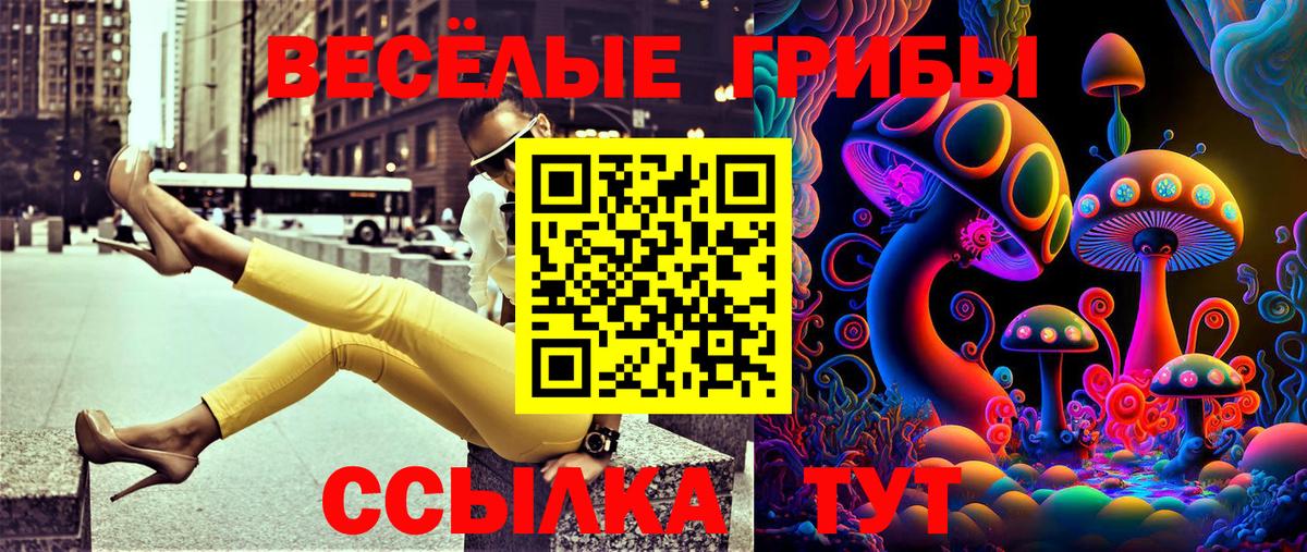 наркошоп  Вход с VPN  Вичуга  Галлюциногенные грибы MAGIC MUSHROOMS 